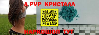 PSILOCYBIN Усть-Джегута