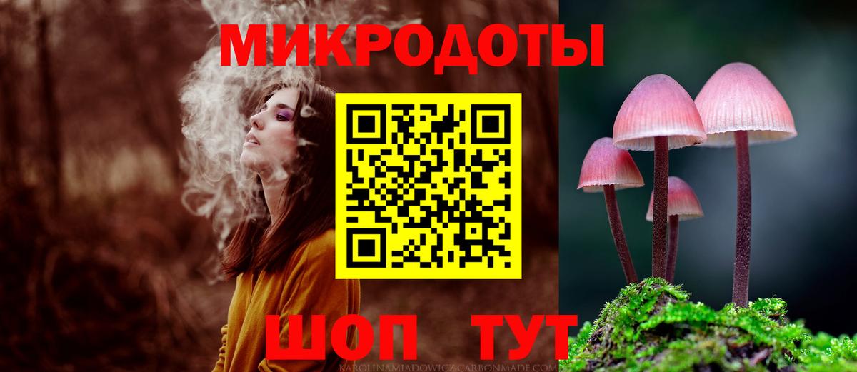 Галлюциногенные грибы прущие грибы Богданович