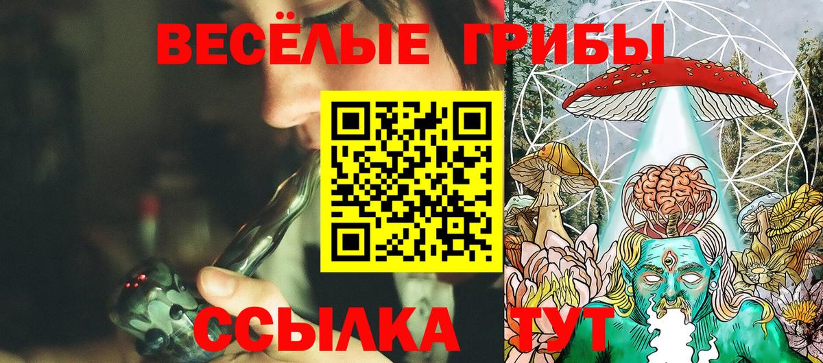 Галлюциногенные грибы Psilocybe  Галлюциногенные грибы Psilocybe  Вход с VPN  Богданович 